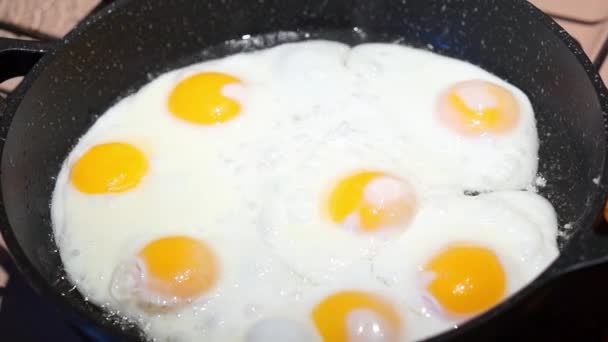 Sahanda yumurta bir Pan — Stok video