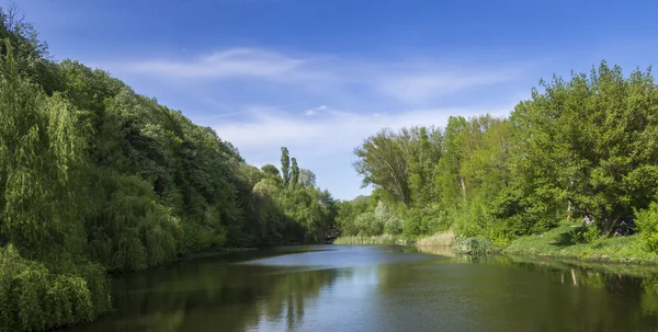 Paysage forestier au printemps — Photo