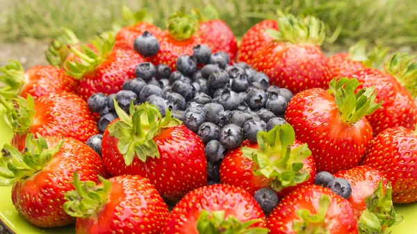 Fragola e mirtillo — Foto Stock