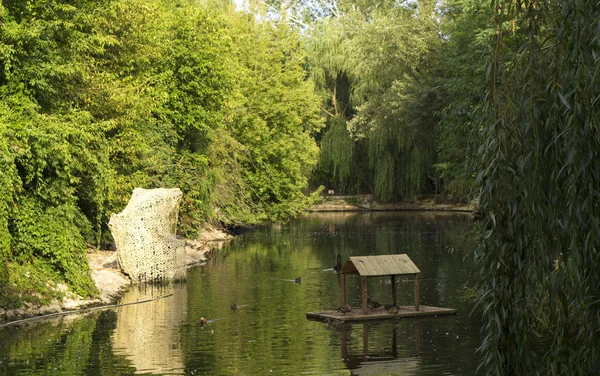 Une maison pour les oiseaux — Photo