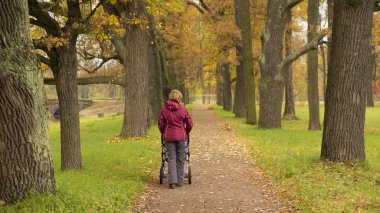 Mother with pram walking quietly in the forest