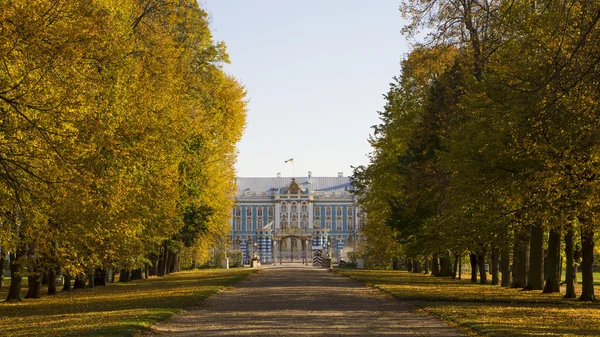 Вид из парка на Екатерининский дворец в Санкт-Петербурге — стоковое фото