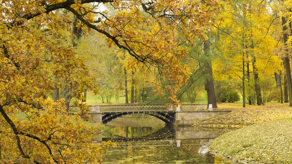 Красивая природа осенью и мостом — стоковое фото
