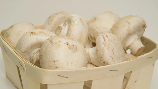 原料蘑菇 — 图库照片