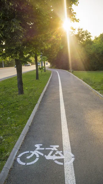 Segnaletica per ciclista.Pista ciclabile — Foto Stock