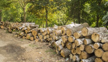 Boyutlanmış günlükleri