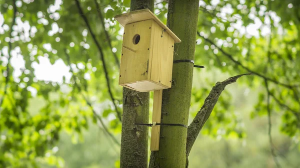 Homemade birdhouse in the forest — Stock Photo, Image