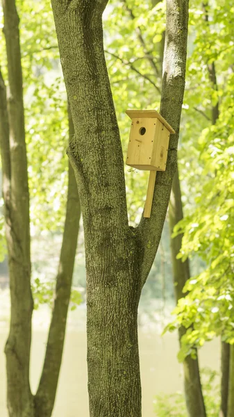 Homemade birdhouse in the forest — Stock Photo, Image