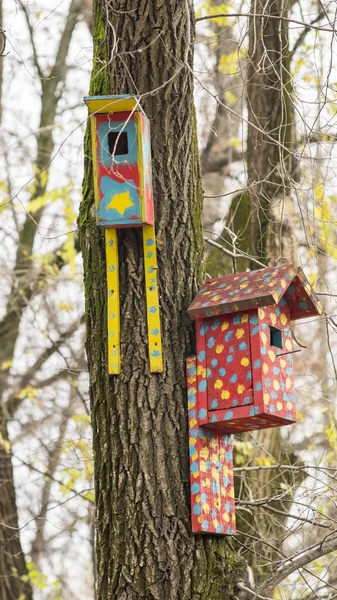 Homemade birdhouse in the forest — Stock Photo, Image