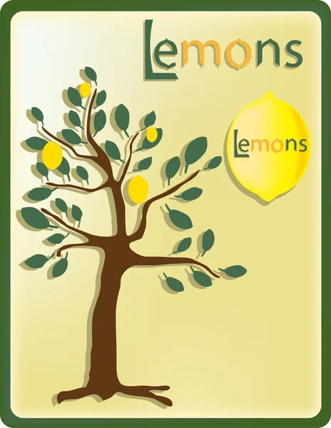 Görüntü ile resmi bir limon ağacı limon ile