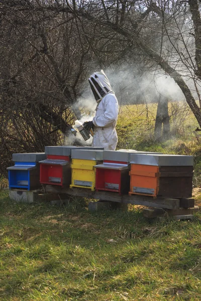 Beekeeper at work — Stockfoto