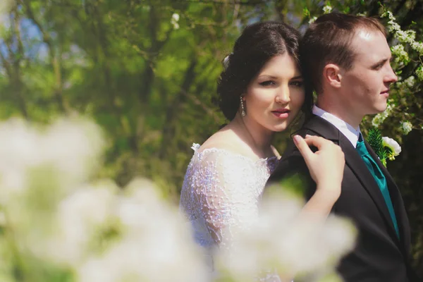 Unga bruden och brudgummen i en lummig trädgård på våren. Brudgummen och bruden i en vit klänning i trädgården — Stockfoto