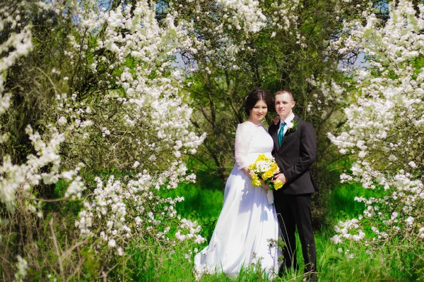 Noiva jovem e noivo em um jardim exuberante na primavera. Groom e a noiva em um vestido branco no jardim — Fotografia de Stock