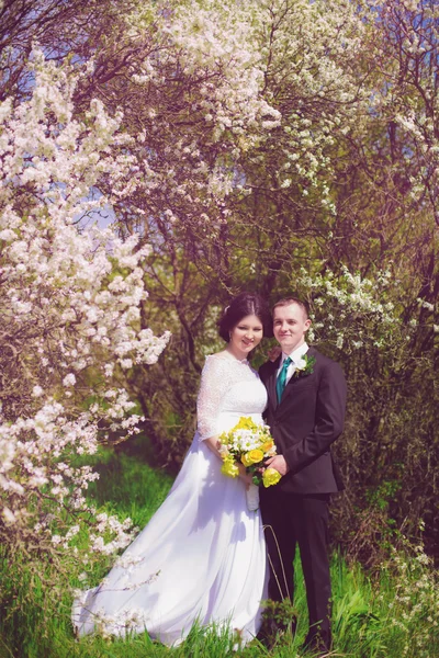 Giovani sposi in un rigoglioso giardino in primavera. Sposo e la sposa in un abito bianco in giardino — Foto Stock