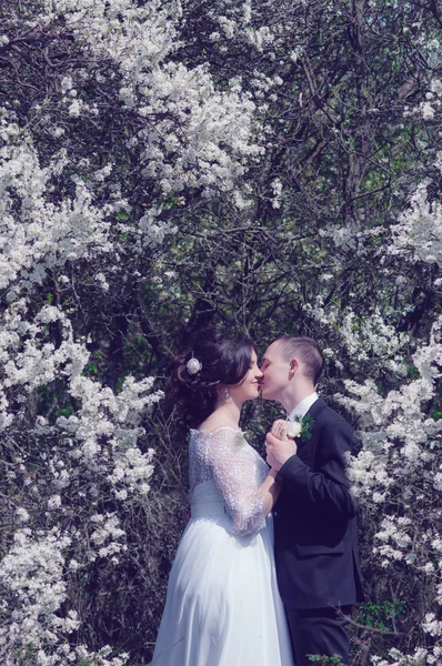 Novia joven y novio en un exuberante jardín en la primavera. Novio y la novia en un vestido blanco en el jardín —  Fotos de Stock