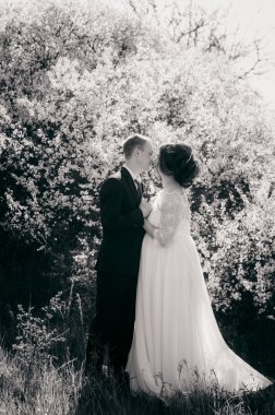 Genç gelin ve damat ilkbaharda yemyeşil bir bahçede. Damat ve gelin Bahçe Beyaz elbiseli