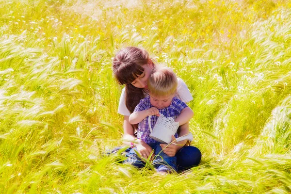 Ragazzino e ragazza nel campo estivo con fiori — Foto Stock