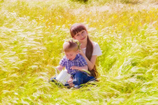 Menino e menina no campo de verão com flores — Fotografia de Stock