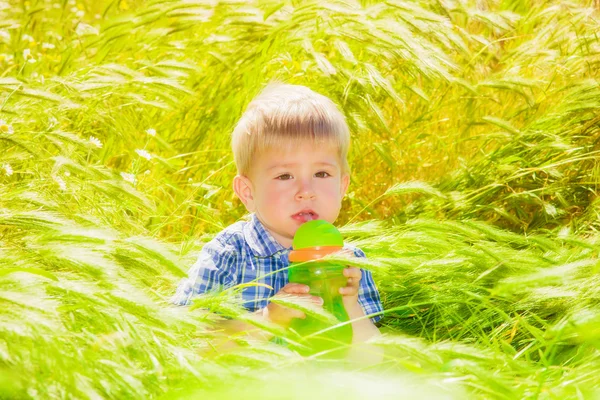 Mały chłopiec z koszem jabłek i gruszek w jesieni — Zdjęcie stockowe