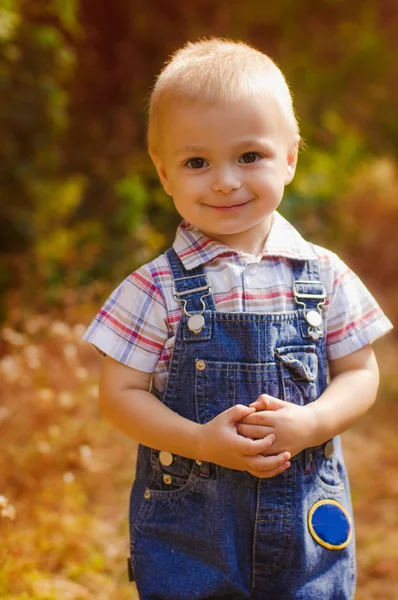 Menino com uma cesta de maçãs e peras no outono — Fotografia de Stock