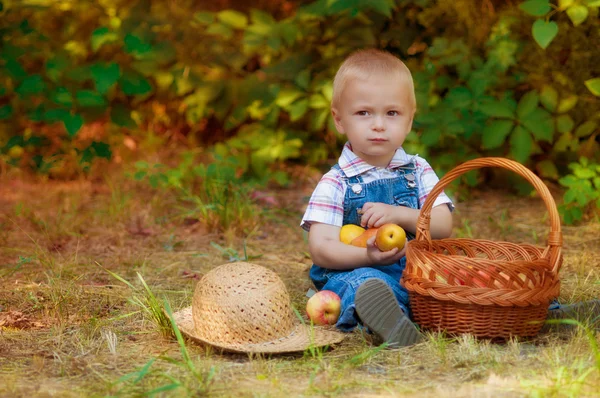 Malý chlapec s košem jablek a hrušek na podzim — Stock fotografie