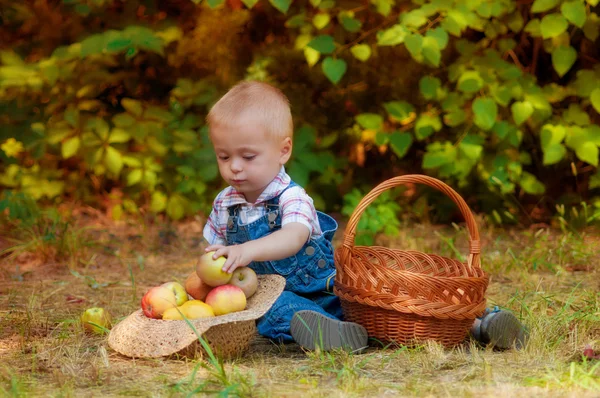 Petit garçon avec un panier de pommes et de poires en automne — Photo