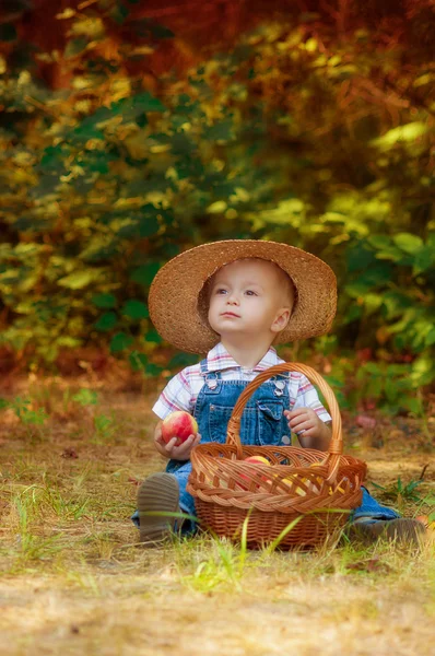 Liten pojke med en korg med äpplen och päron i höst — Stockfoto