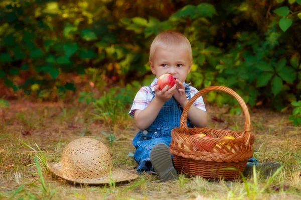 Niño pequeño con una cesta de manzanas y peras en otoño —  Fotos de Stock