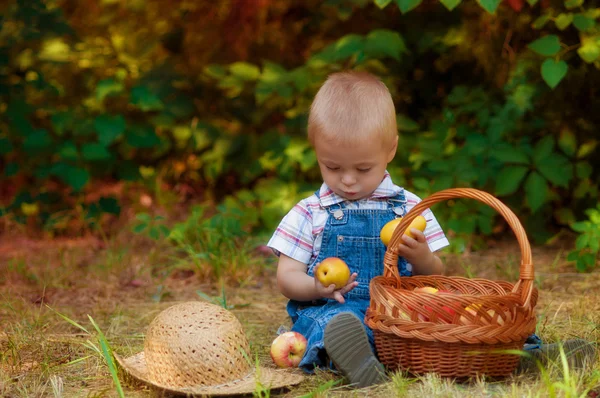 Niño pequeño con una cesta de manzanas y peras en otoño — Foto de Stock