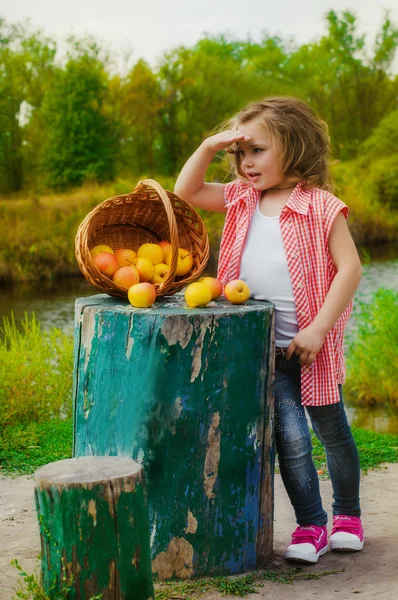 Malá holčička s košíkem jablek — Stock fotografie