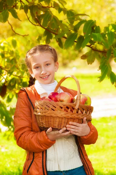 Skolepige med æbler i efteråret - Stock-foto
