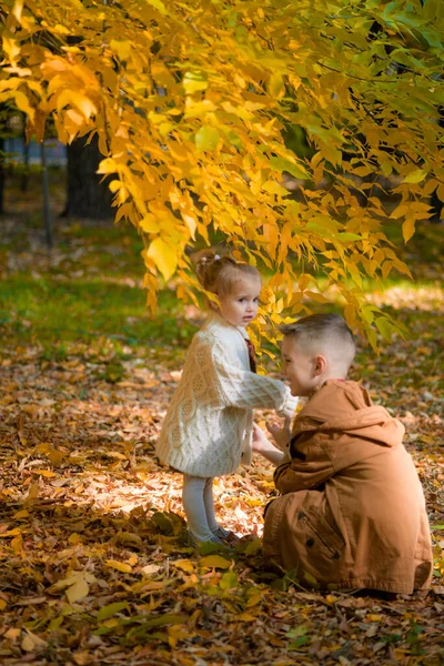 Den Äldre Brodern Och Lillasystern Går Och Skrattar Höstparken Familj — Stockfoto