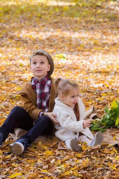 The elder brother and little sister are walking and laughing in the autumn park. Family and Children. Autumn mood