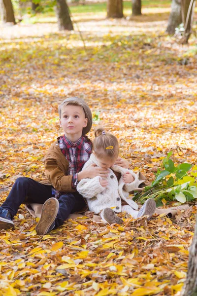 Ağabeyi Küçük Kız Kardeşi Sonbahar Parkında Yürüyor Gülüyorlar Aile Çocuklar — Stok fotoğraf
