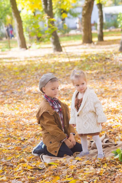 兄と妹が歩いていて 秋の公園で笑っている 家族と子供 秋の気分 — ストック写真
