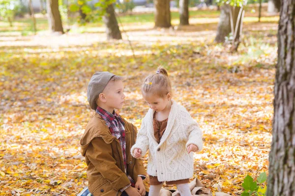 The elder brother and little sister are walking and laughing in the autumn park. Family and Children. Autumn mood