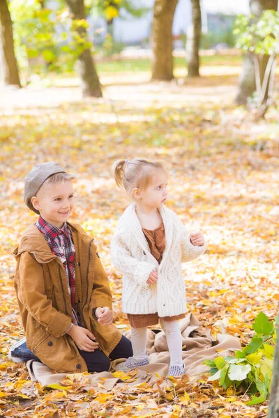 Den Äldre Brodern Och Lillasystern Går Och Skrattar Höstparken Familj — Stockfoto