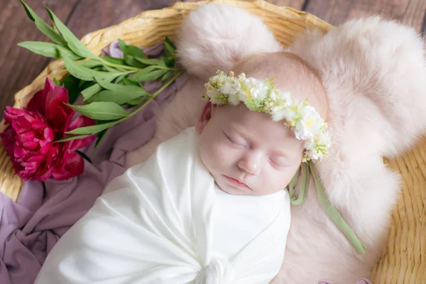 Baby Mädchen Einem Weidenkorb Mit Weinreben Verziert Mit Weinroten Pfingstrosen — Stockfoto