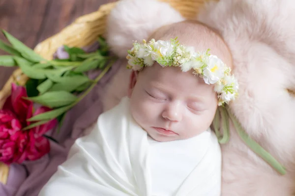 Baby Mädchen Einem Weidenkorb Mit Weinreben Verziert Mit Weinroten Pfingstrosen — Stockfoto