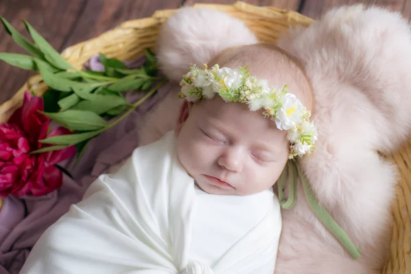 Baby Mädchen Einem Weidenkorb Mit Weinreben Verziert Mit Weinroten Pfingstrosen — Stockfoto