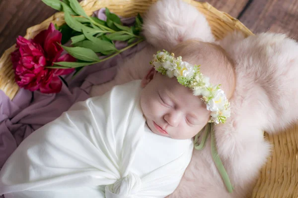 Baby Mädchen Einem Weidenkorb Mit Weinreben Verziert Mit Weinroten Pfingstrosen — Stockfoto