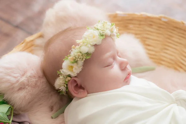 Baby Mädchen Einem Weidenkorb Mit Weinstock Der Mit Rosa Pelz — Stockfoto