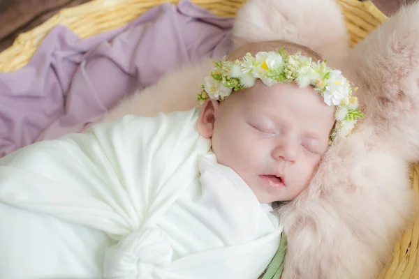 Baby Mädchen Einem Weidenkorb Mit Weinstock Der Mit Rosa Pelz — Stockfoto