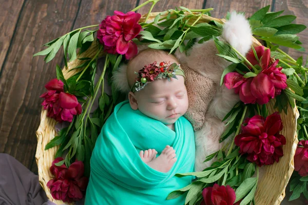 Holčička Proutěném Koši Vinné Révy Zdobeném Vínovou Pivoňkou Růžová Srst — Stock fotografie