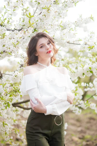 Baharda Güneşli Bir Havada Kiraz Bahçesinde Beyaz Romantik Ipek Bir — Stok fotoğraf