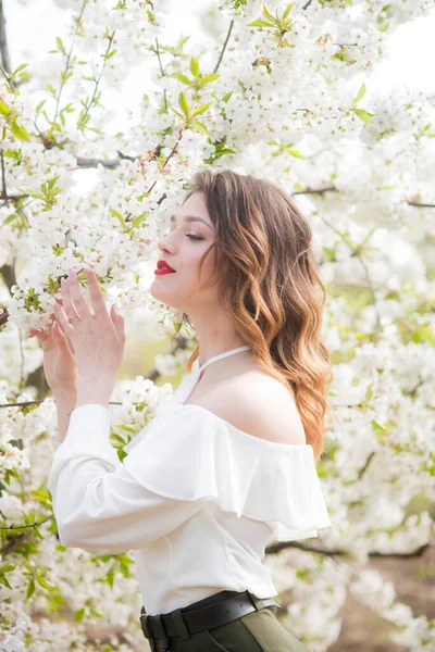 Baharda Güneşli Bir Havada Kiraz Bahçesinde Beyaz Romantik Ipek Bir — Stok fotoğraf