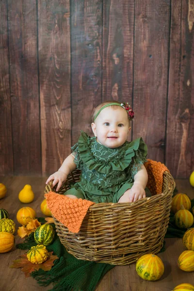 可爱的小女孩 一岁以下 身穿绿色可爱的连衣裙 头戴花环 黄色和橙色的小南瓜 背景是棕色的木制 — 图库照片