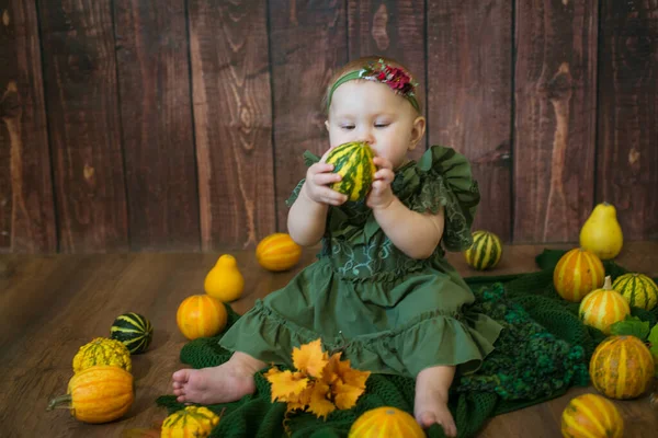 Cute Little Girl Year Old Green Cute Dress Floral Wreath — Stock Photo, Image