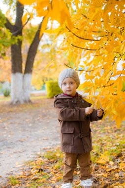 Sonbahar parkında sarı yapraklarla oynayan sonbahar montu ve şapkalı şirin çocuk. Sonbahar havası