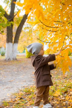 Sonbahar parkında sarı yapraklarla oynayan sonbahar montu ve şapkalı şirin çocuk. Sonbahar havası